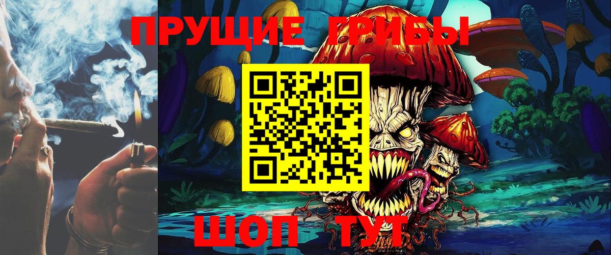 Галлюциногенные грибы прущие грибы  Псилоцибиновые грибы Psilocybine cubensis  купить  цена  Вход с VPN  Бугуруслан 
